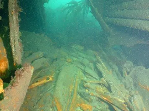 Wreck of the Butetown.