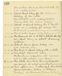 Page 229